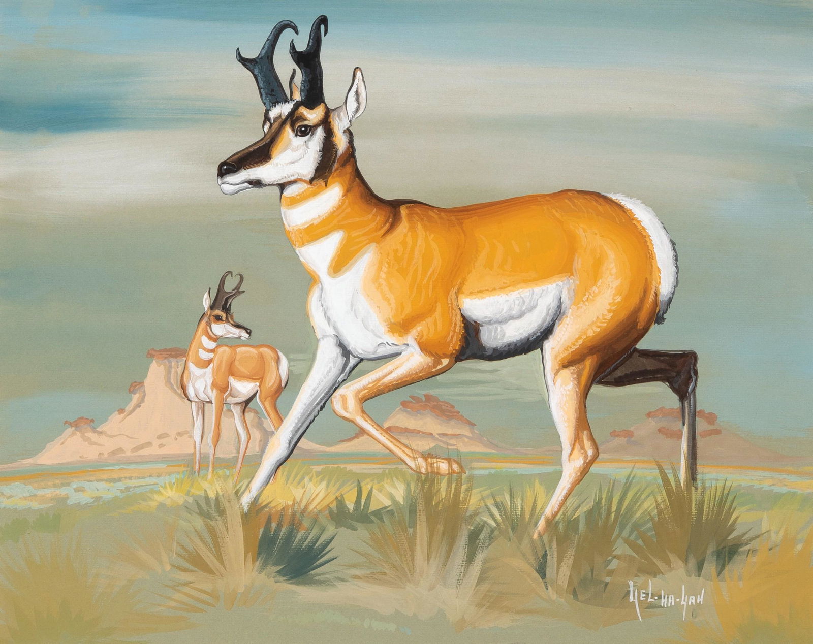 Charlie Lee [Hush Ka Yel Ha Yah], Untitled (Buck) (1 of 2)