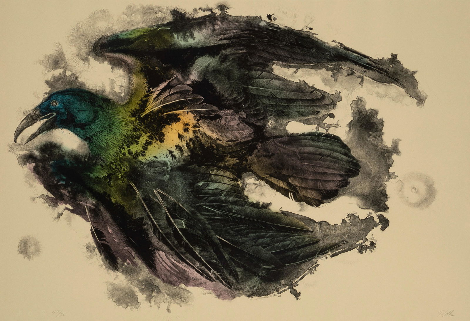 Paul Pletka, Raven, 1979 (1 of 2)