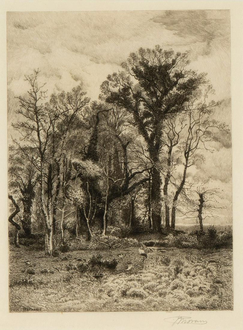 Peter Moran, The Edge of the Swamp (After a Painting by W. L. Picknell), 1886: Peter Moran(1841 - 1914)The Edge of the Swamp (After a Painting by W. L. Picknell), 1886etchingsigned in margin, lower right: PMoransigned in plate, lower left: WL Picknellsigned in plate, lower right