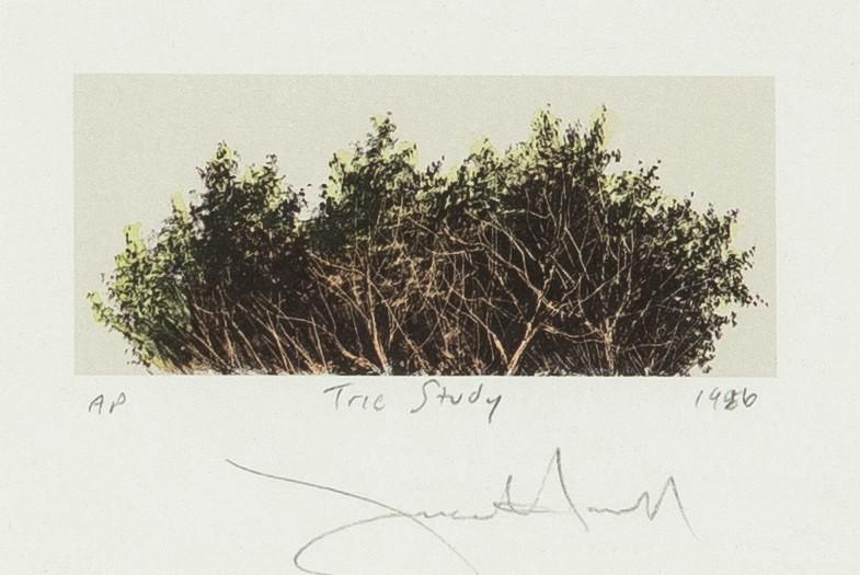 Frank Howell, Tree Study, 1986 (1 of 2)