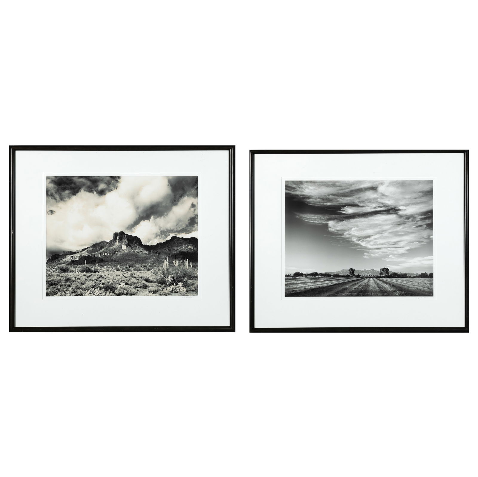 Jody Forster, Pair of Photographs (1 of 5)