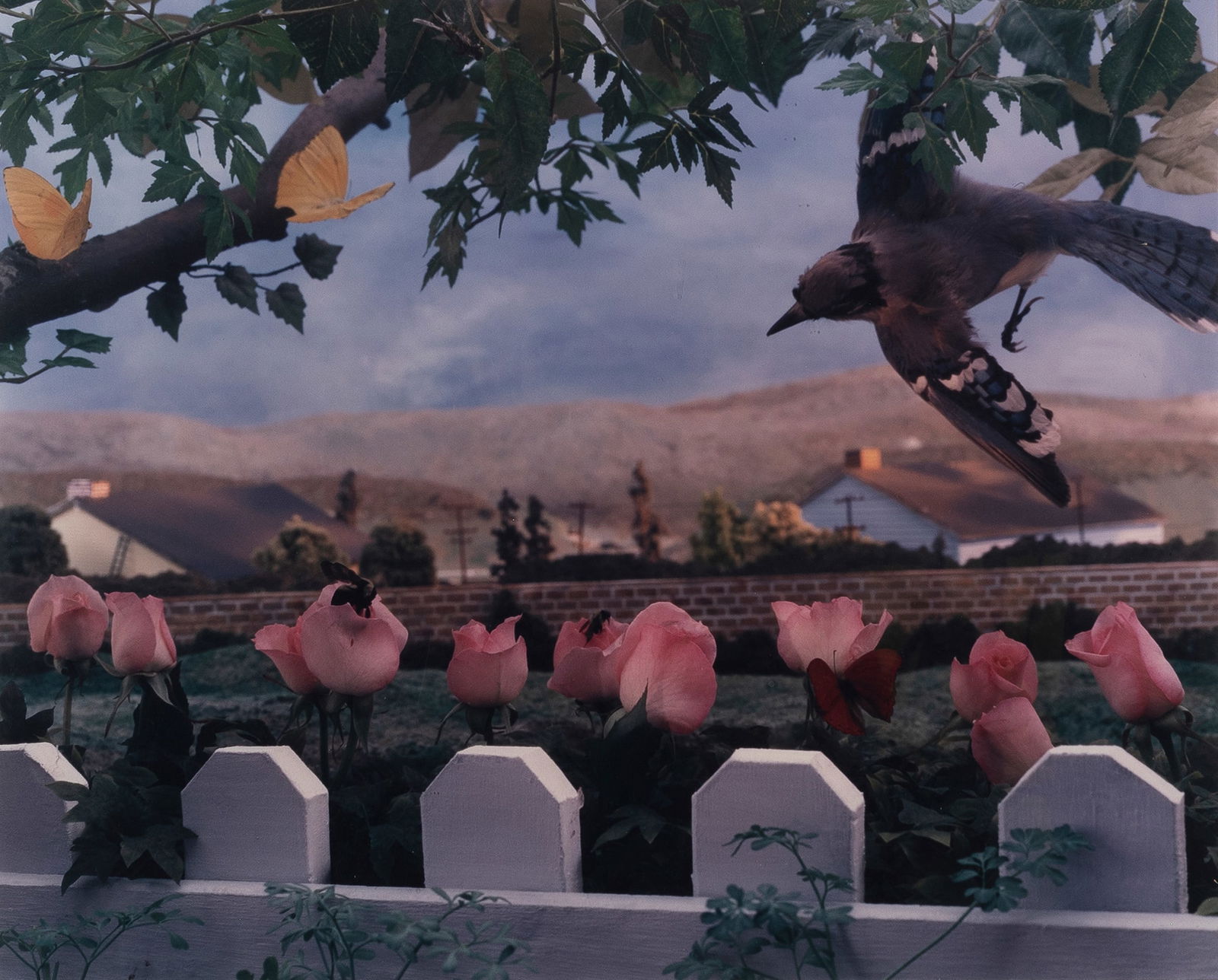 Gregory Crewdson, Untitled (Natural Wonder), 1991: Gregory Crewdson(b. 1962)Untitled (Natural Wonder Series), 1991chromogenic print, Artist's Proof 1 of 218 x 22 in. (45.7 x 55.9 cm.), Frame: 25 x 28 1/2 x 1 in. (63.5 x 72.4 x 2.5 cm.) Feigen Incorpor