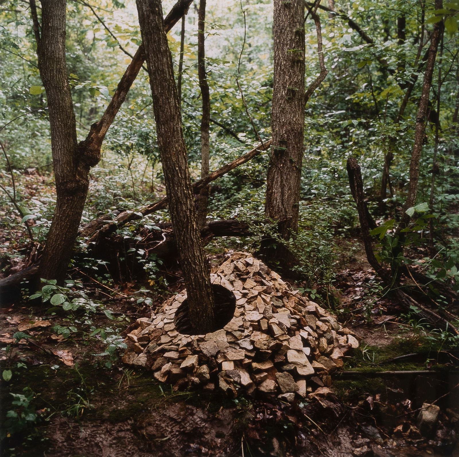 Andy Goldsworthy, Tree Cairn, June 1994 (1 of 5)