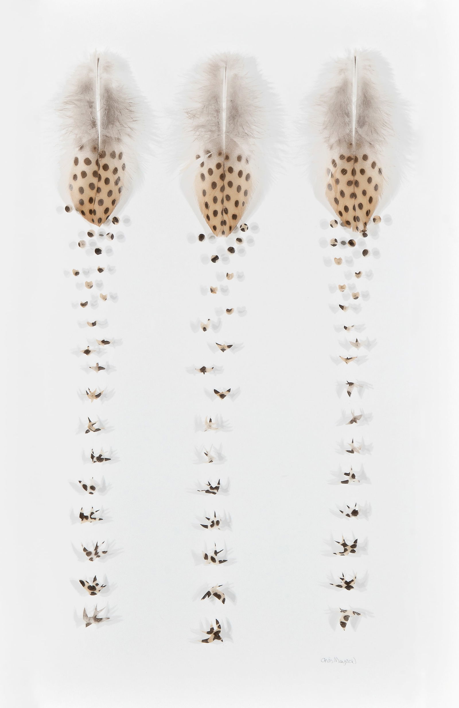 Chris Maynard, Raindrop Birds 3, 2017 (1 of 2)