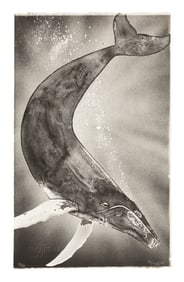 Robert Wyland, Humpback, 1982