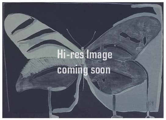 Fritz Scholder, Night Butterfly, 1979 (1 of 1)