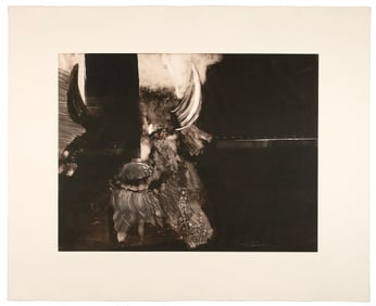 Roger Broer, Untitled (Seeing Red)