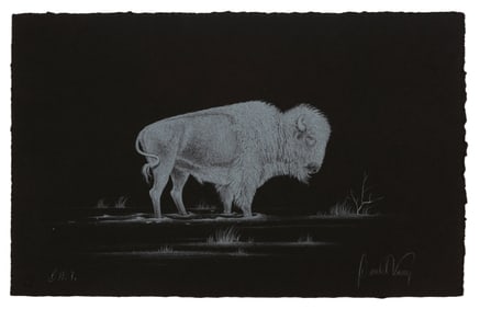 Donald Vann, White Buffalo