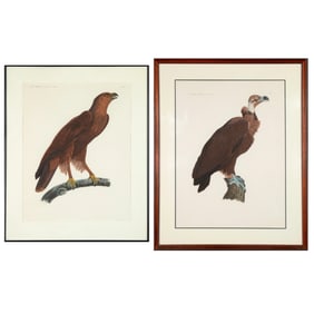 Savigny, Group of Two Prints from Histoire Naturelle Zoologie Oiseaux