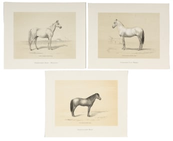 Eschebach & Schaefer, Sardinische Race + Rum?nische Race (Moldau), ca. 1874 + Rum?nische Race