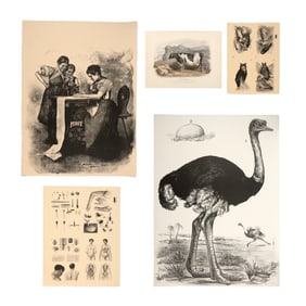 Group of Five Vintage Lithographs