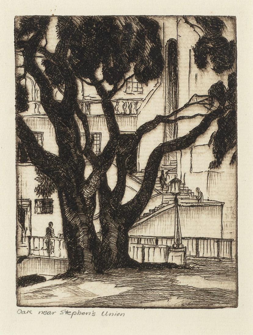 Gene Kloss, Oak Near Stephen's Union, ca. 1925 (1 of 3)