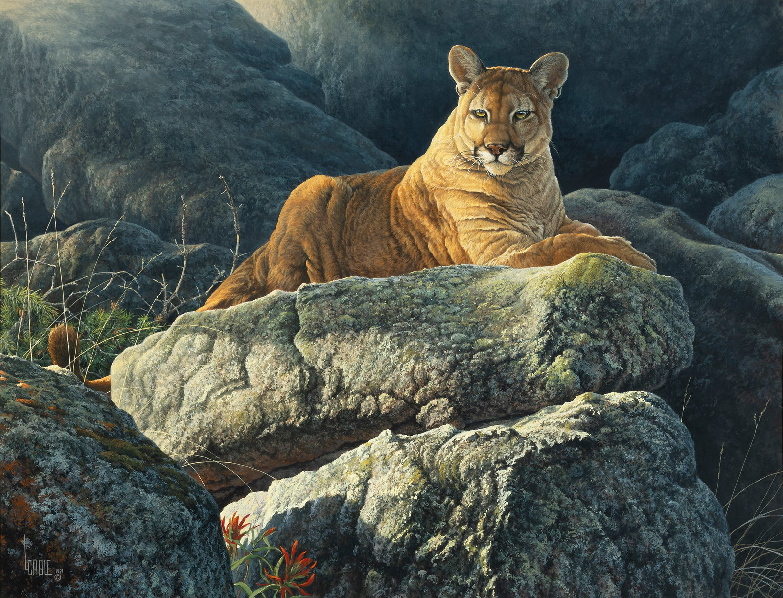 Lee Cable, Silent Shadow, 1991 (1 of 2)