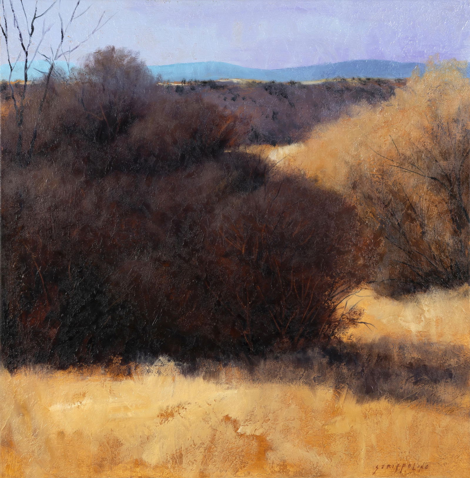 Robert Striffolino, Northern New Mexico Study, 2000 (1 of 3)