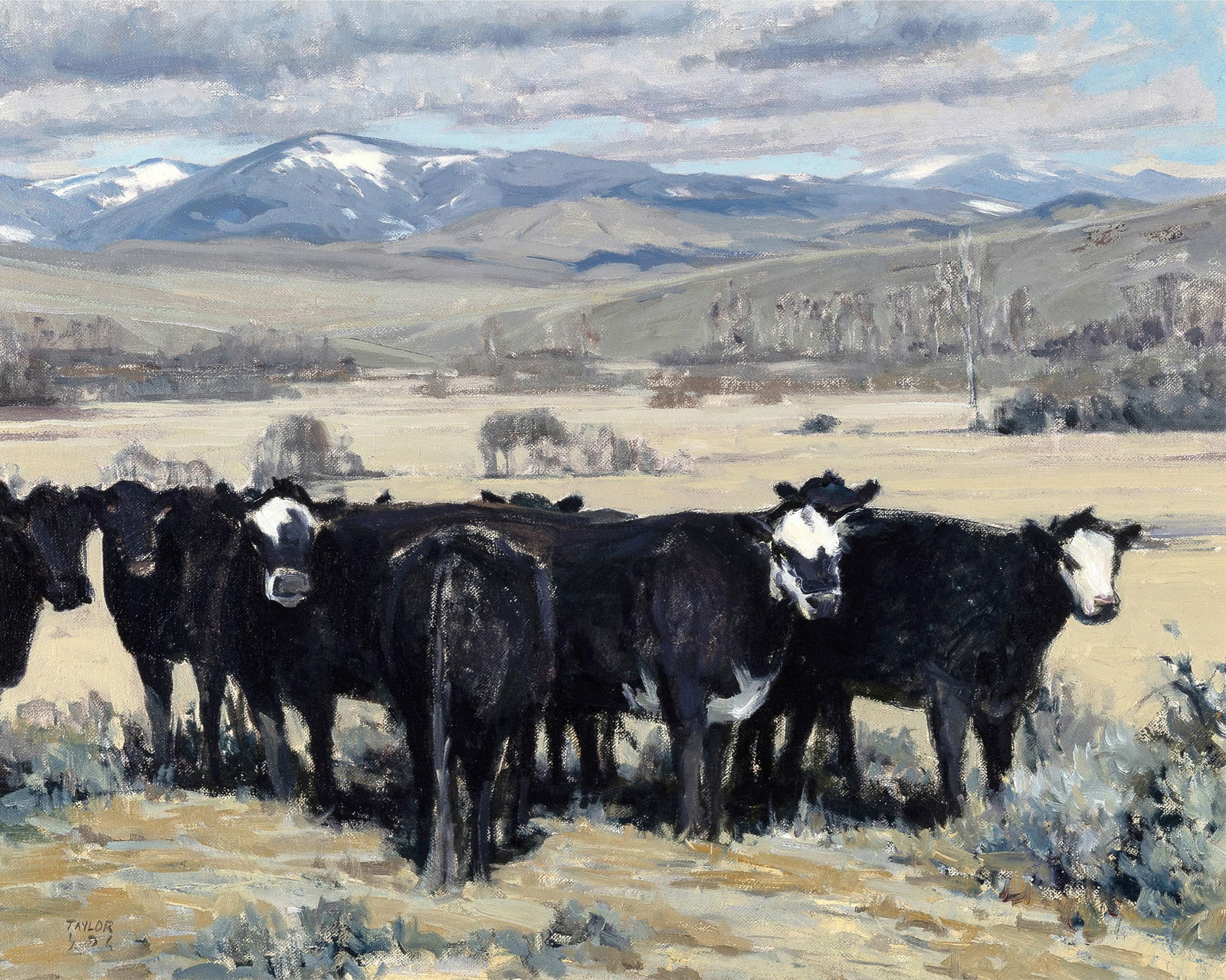 Taylor Lynde, (b. 1970), Cattle with Mountain Landscape (1 of 2)