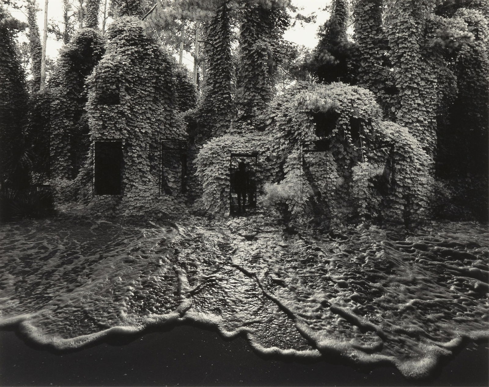 Jerry N Uelsmann, Untitled (Kudzu Tide), 1982 (1 of 3)