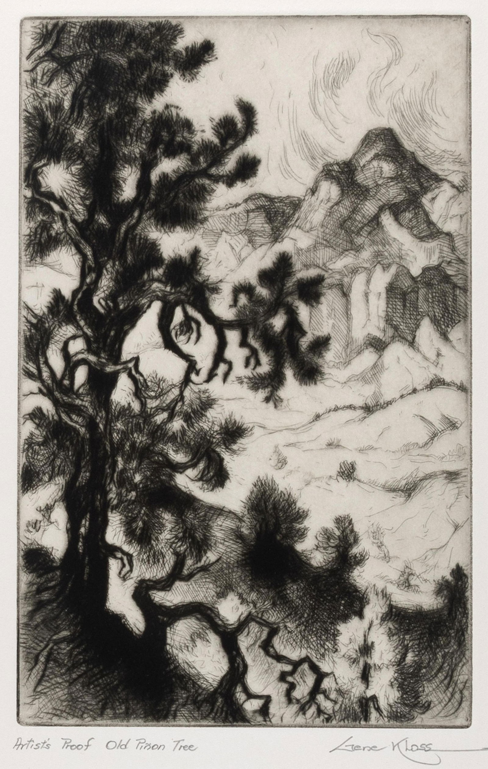 Gene Kloss Old Piñon Tree, 1981 (1 of 3)