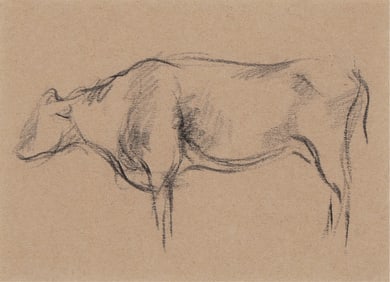 Willard Ayer Nash, Cow
