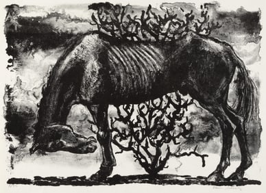 Elmer Wayne Schooley, Horse