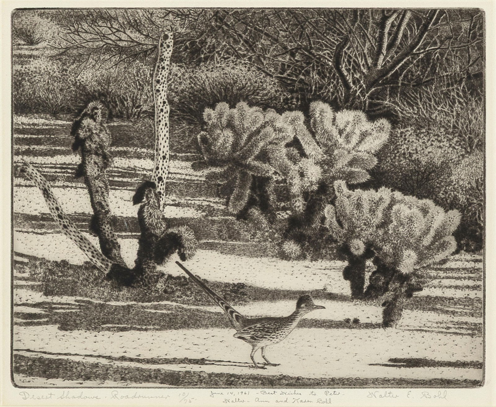Walter E. Bohl, Desert Shadows – Roadrunner, 1961 (1 of 2)