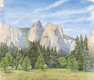 Tony Foster, Leidig Meadow, 1986