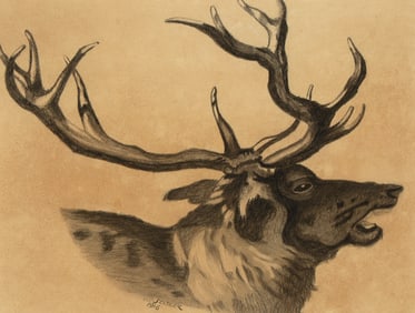 Olaf Carl Seltzer, Untitled (Stag), 1916