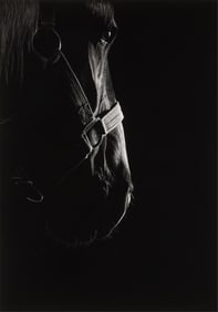 Cathy Sheeter, The Patriarch, 2009