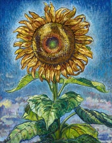 Roger Montoya, Sunflower de Espanola, 2001