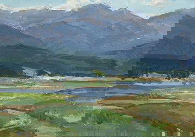 Mark Daily, Summer Shadows