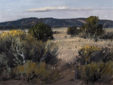 Arturo Antonio Chávez, On the Llano