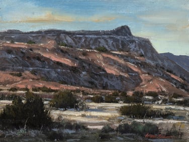Arturo Antonio Chavez, Near San Ysidro