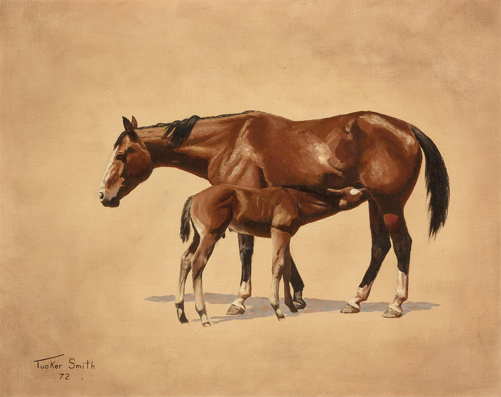 Tucker Smith, Untitled (Mare and Foal), 1972: Tucker Smith(b. 1940)Untitled (Mare and Foal), 1972oil on linensigned lower left: Tucker Smith / 7216 x 20 in. (40.6 x 50.8 cm.), frame: 21 3/4 x 25 3/4 x 1 1/2 in. (55.2 x 65.4 x 3.8 cm.) Private Col