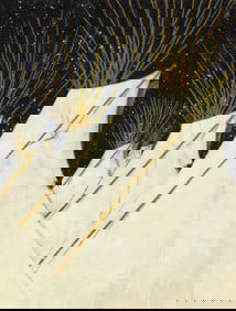 Kevin Red Star, Summer Star Night, 1999