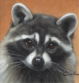 Jennifer O’ Cualain, Raccoon Portrait