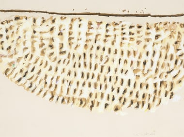 Paula Castillo, Small Pile of Hills, 2009