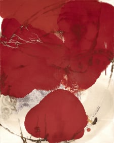 Dirk de Bruycker, Salto Rojo I, 2005