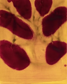 Dirk de Bruycker, Pulse I (Small), 2003