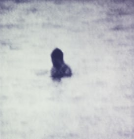 Michal Rovner, One Person Game Against Nature I #30B, 1992