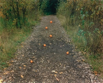 John Pfahl, Six Oranges, Delaware Park, Buffalo NY, 1977
