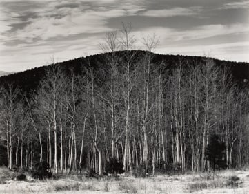 Edward Weston, Aspen Valley, New Mexico, 1937 / ca.1953