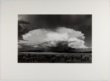 Myron Wood, Sheep, Storm: South Park, Colorado, 1967 / 1991