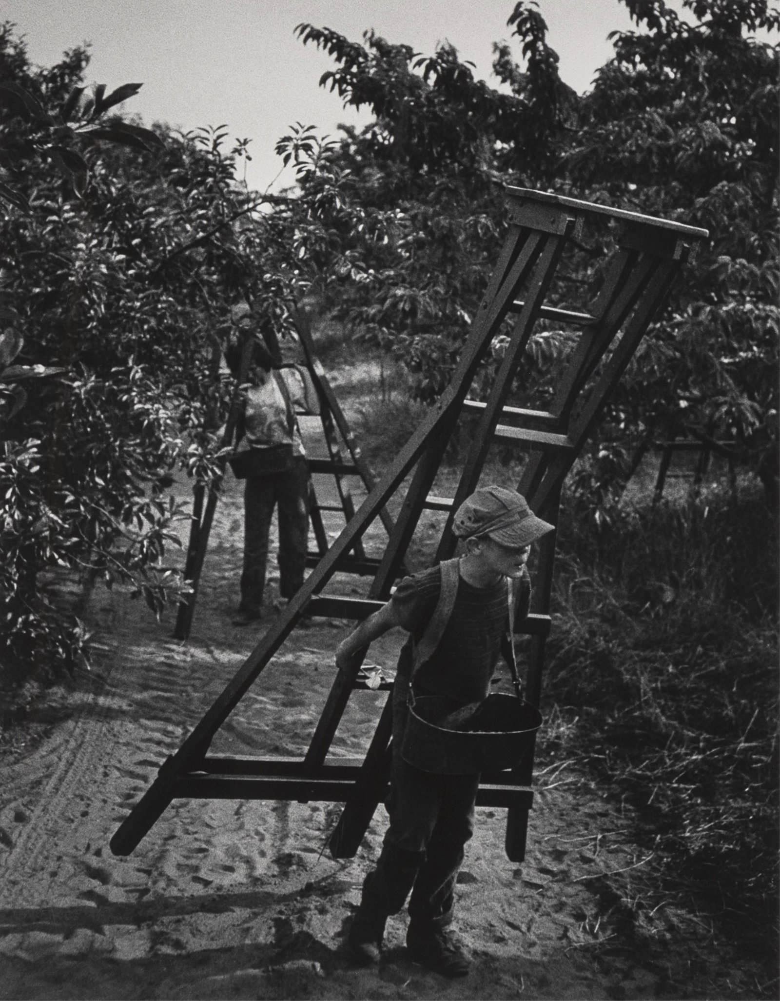 William Eugene Smith, Fruit Pickers: William Eugene Smith1918 - 1978Fruit Pickersgelatin silverstamped on print verso: Photograph by W. EUGENE SMITH / This authenticated photograph was in the private collection of W. Eugene Smith at the