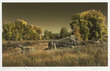 Steven A. Jackson, Leonora Curtin Wetland Preserve, NM, 2008