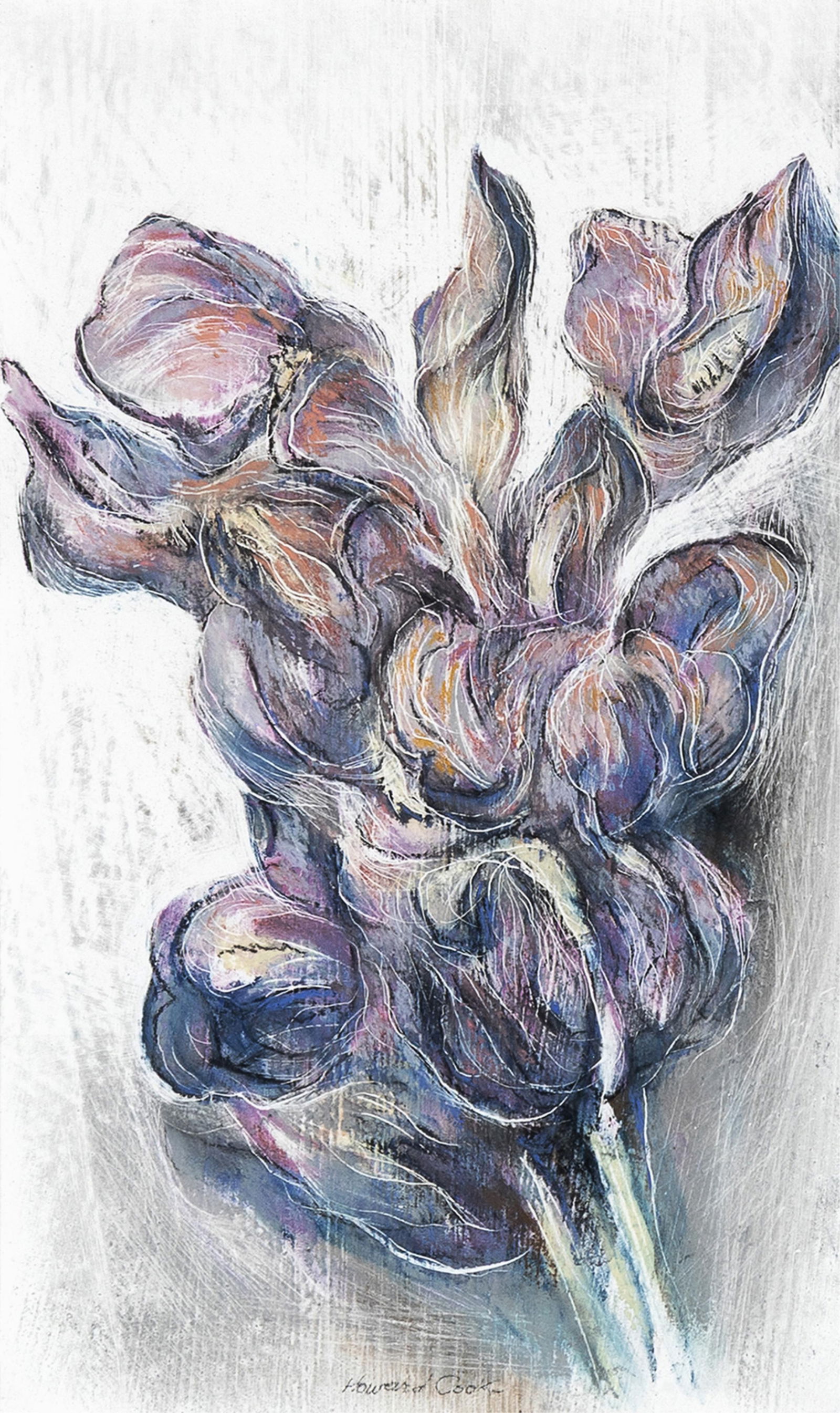 Howard Norton Cook, Spring Flower #1 (Roswell Iris), 1968: Howard Norton Cook1901 - 1980Spring Flower #1 (Roswell Iris), 1968pastel on papersigned lower center: Howard Cookinscribed verso: Spring Flower #1 / Howard Cook / PASTEL / ROSWELL IRIS / for H.G.B.11