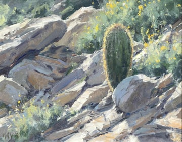 Matt Smith, Young Saguaro, 2005