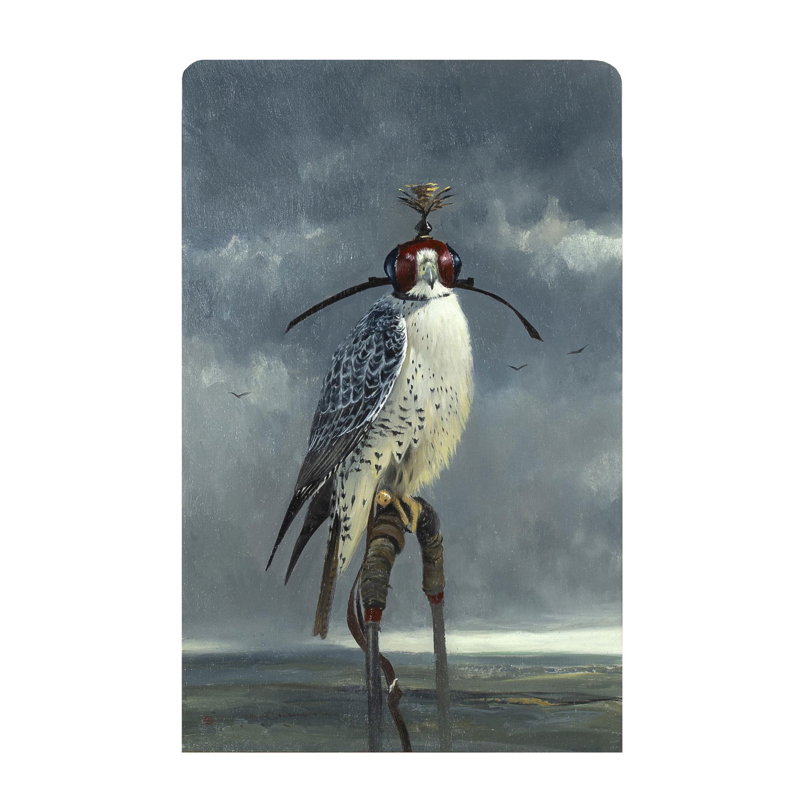 Michael Coleman, Gyrfalcon, 1990 (1 of 3)