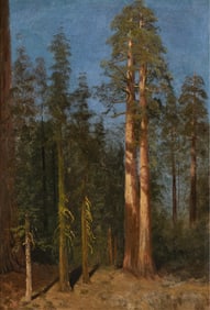 Albert Bierstadt, Study for the Great Trees (Mariposa, California), ca. 1875