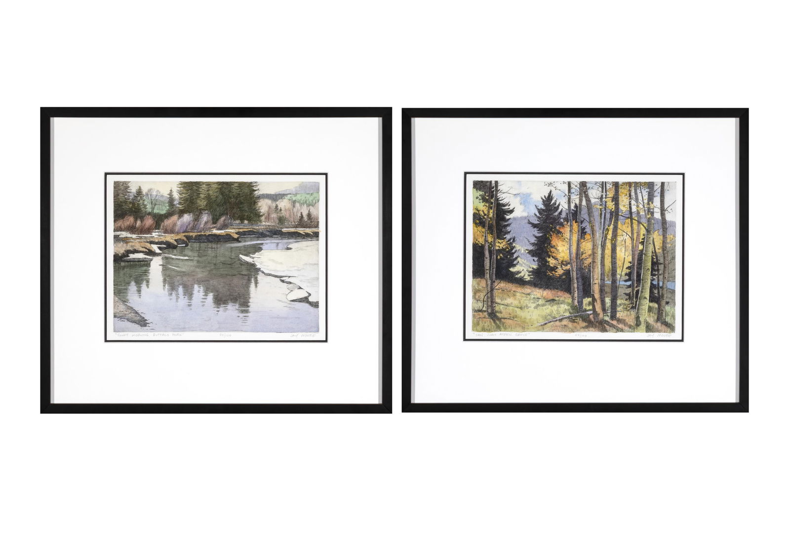 Jay Moore, Pair of Prints: San Juan Aspen Grove + Sunny Morning, Buffalo Fork (1 of 5)
