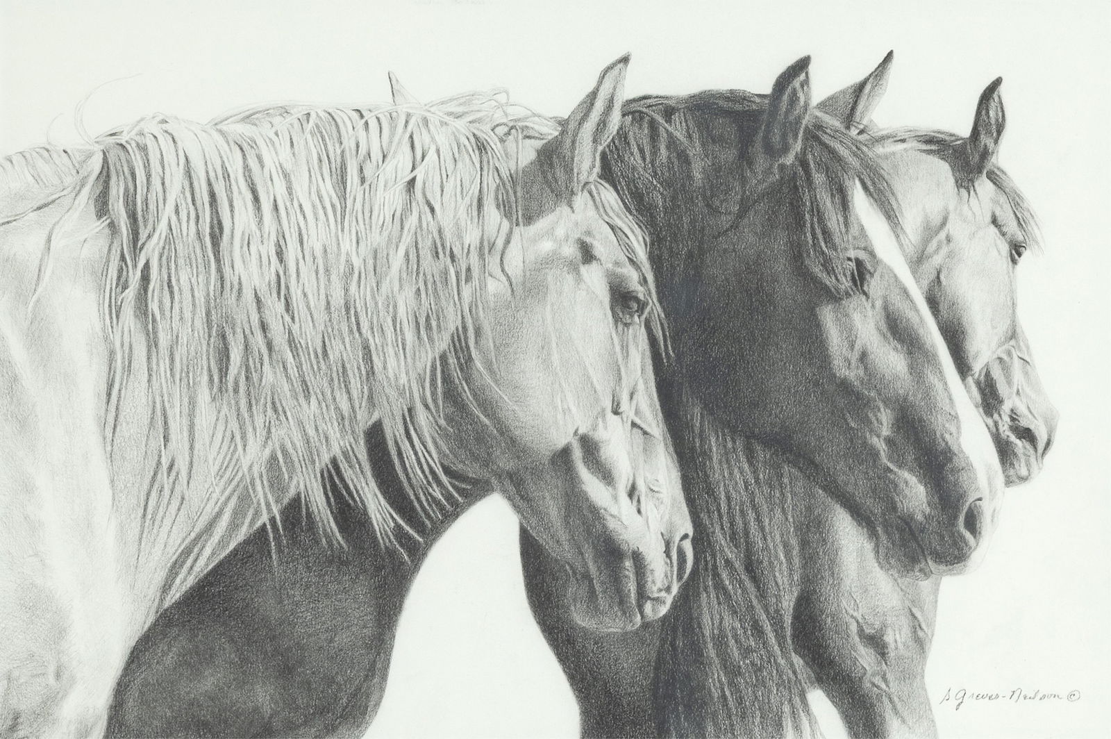 Sheri Greves-Neilson, Broncos (1 of 2)