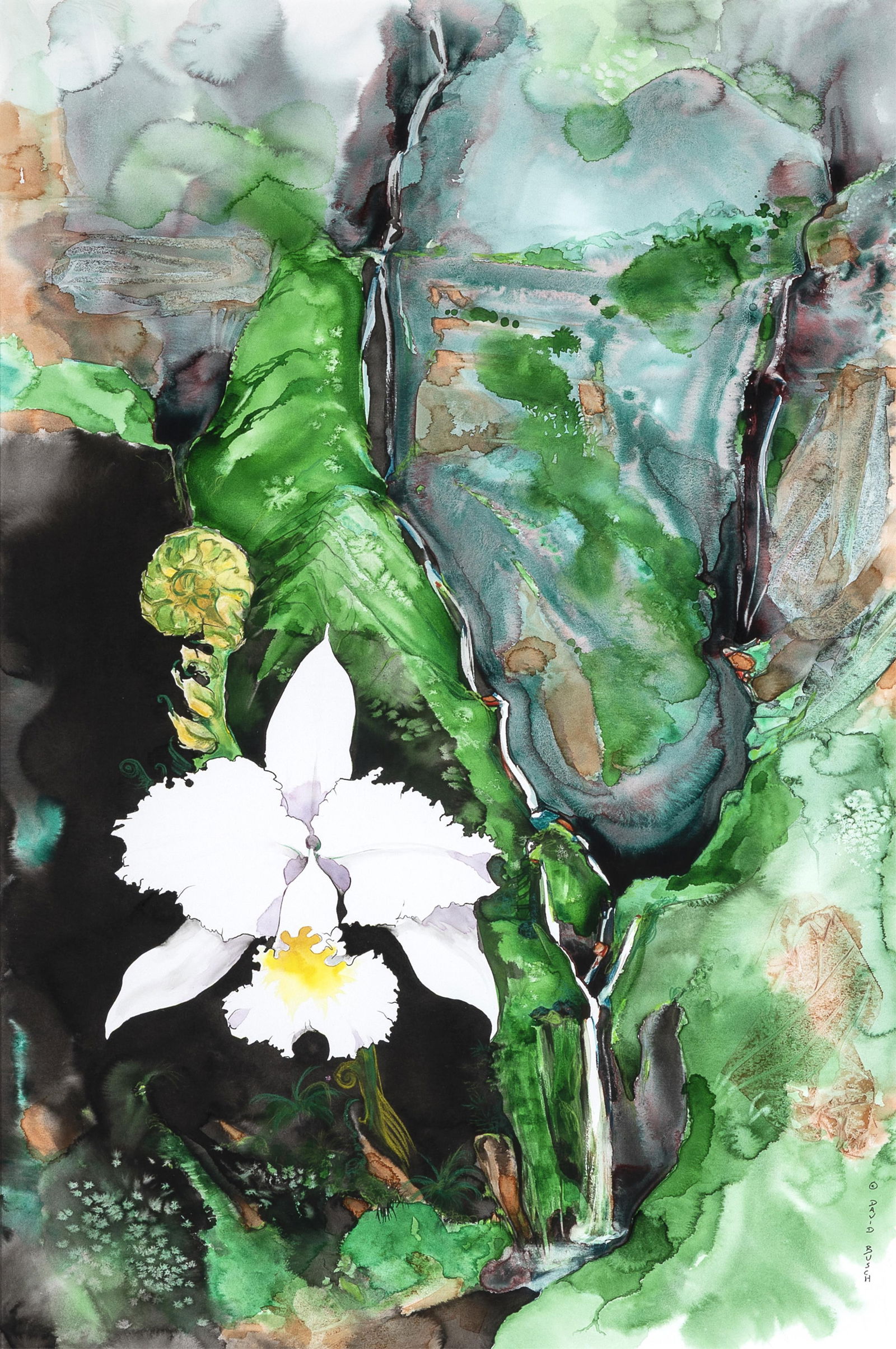 David Busch, Untitled (Landscape with Flower and Fern) (1 of 2)